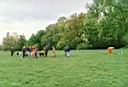 25 - K�ln Spaziergang mit Hunden II - sml web.jpg