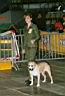 03 - Konzentration vor�m Run.jpg