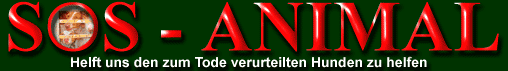 Helft uns den zum Tode verurteilten Hunden zu helfen