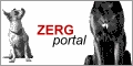 ZERGportal.de - Die Webdatenbanken f�r Hundefreunde
